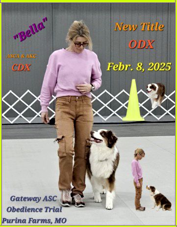 Obedience and Rally